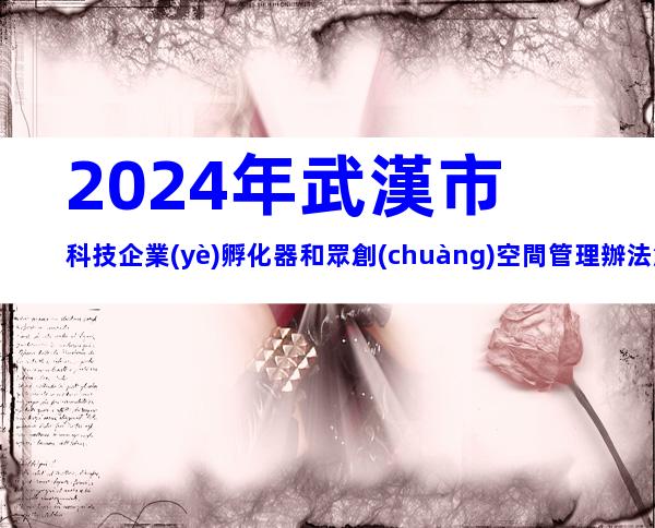 2024年武漢市科技企業(yè)孵化器和眾創(chuàng)空間管理辦法解析，申報(bào)條件、流程